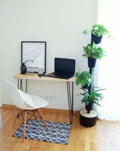 12 Ideen für deinen vertikalen Indoor-Garten - designfieber.net